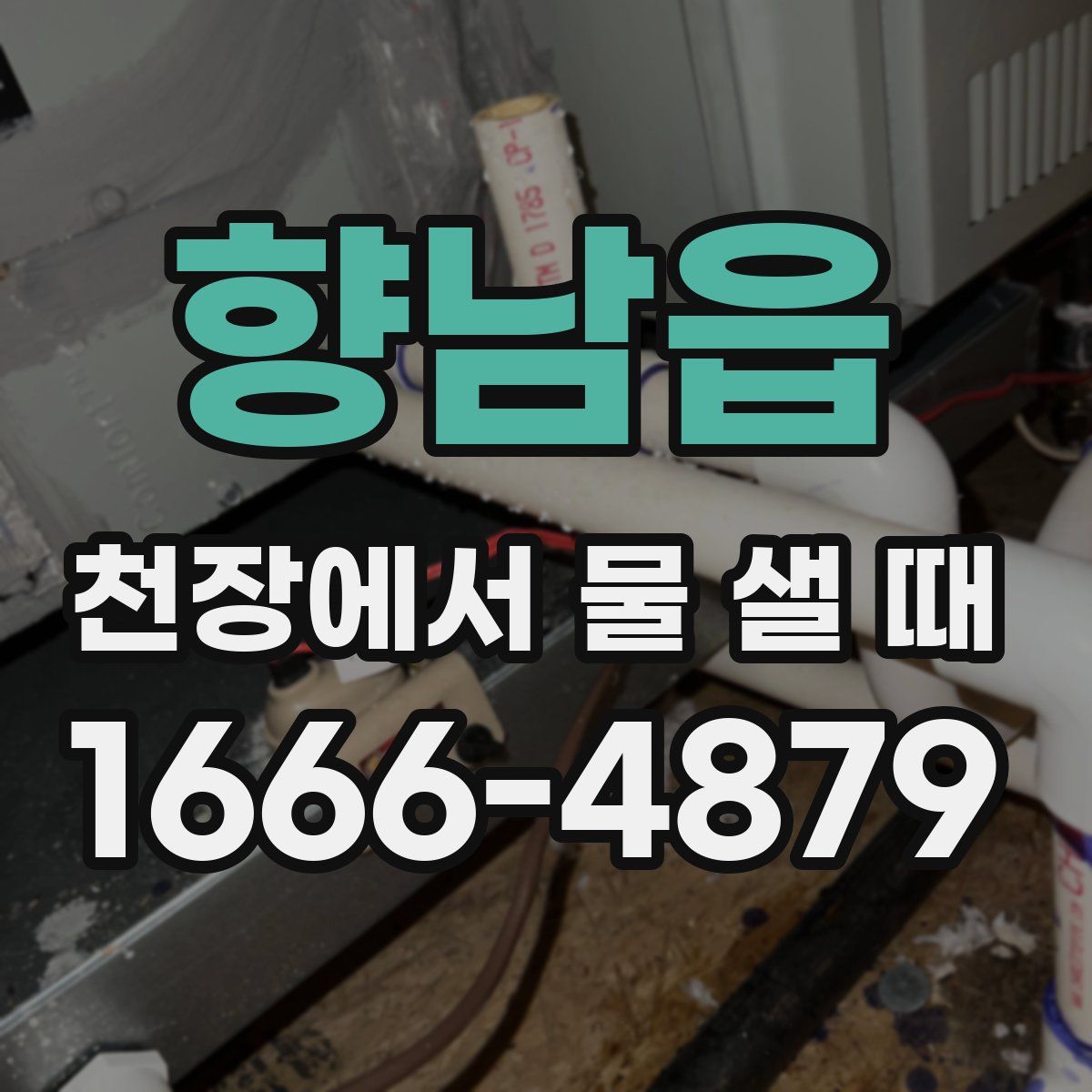향남읍 천장에서 물 샐 때