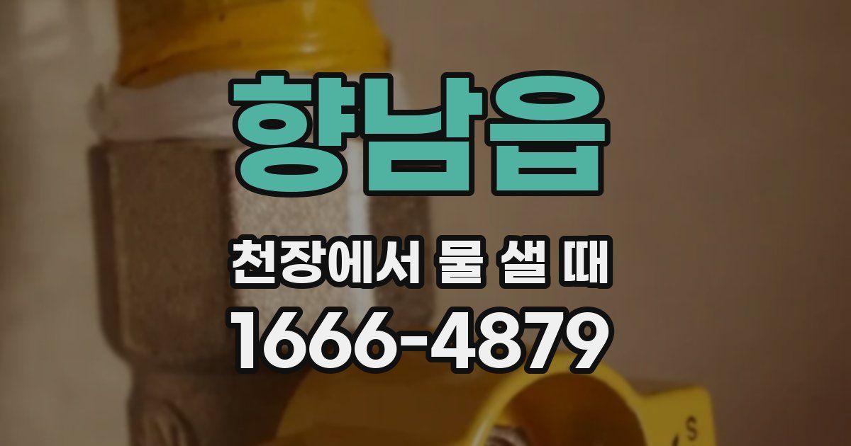 향남읍 천장에서 물 샐 때
