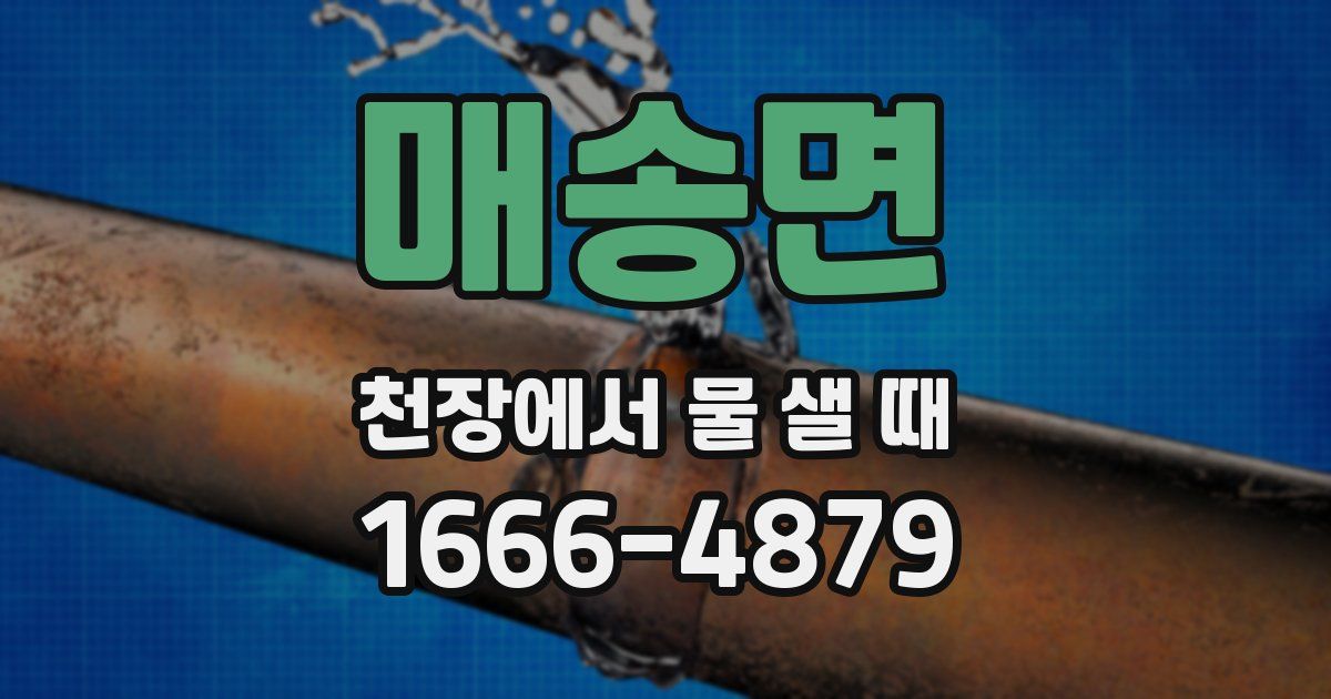 매송면 천장에서 물 샐 때