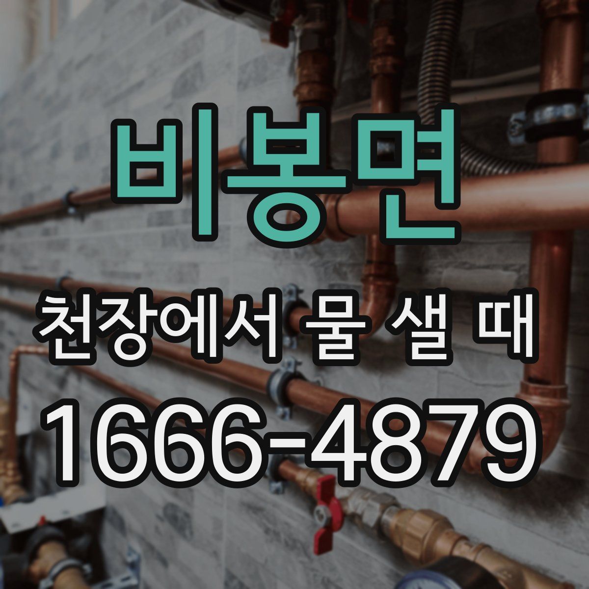 비봉면 천장에서 물 샐 때