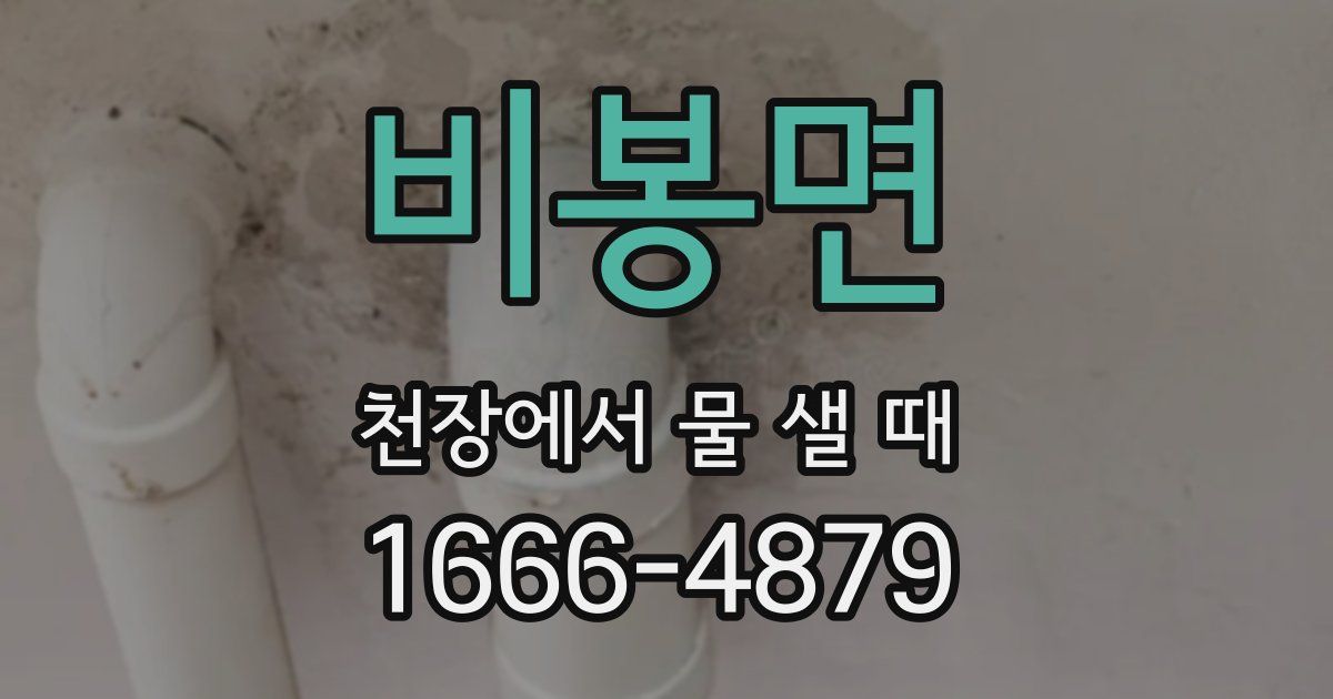 비봉면 천장에서 물 샐 때