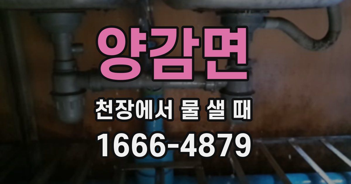 양감면 천장에서 물 샐 때