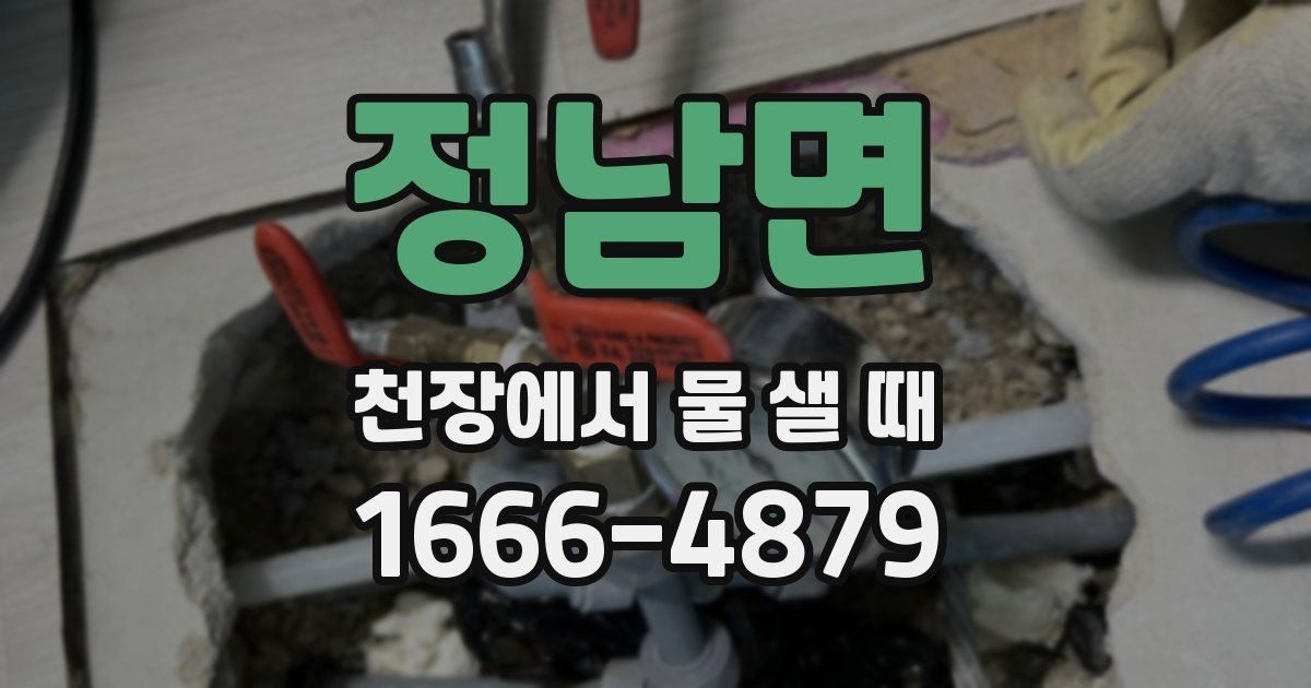 정남면 천장에서 물 샐 때