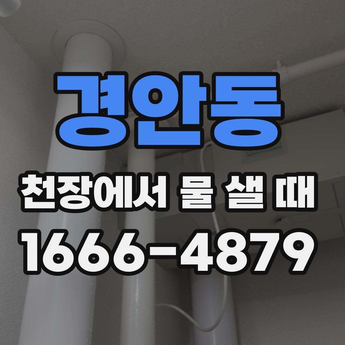 경안동 천장에서 물 샐 때
