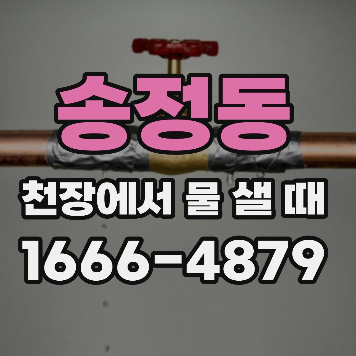 송정동 천장에서 물 샐 때