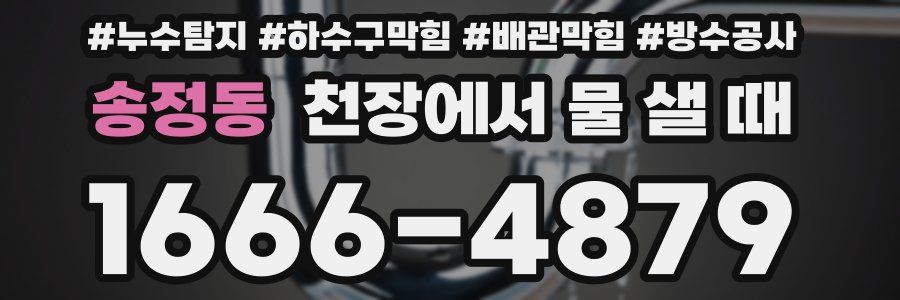 송정동 천장에서 물 샐 때