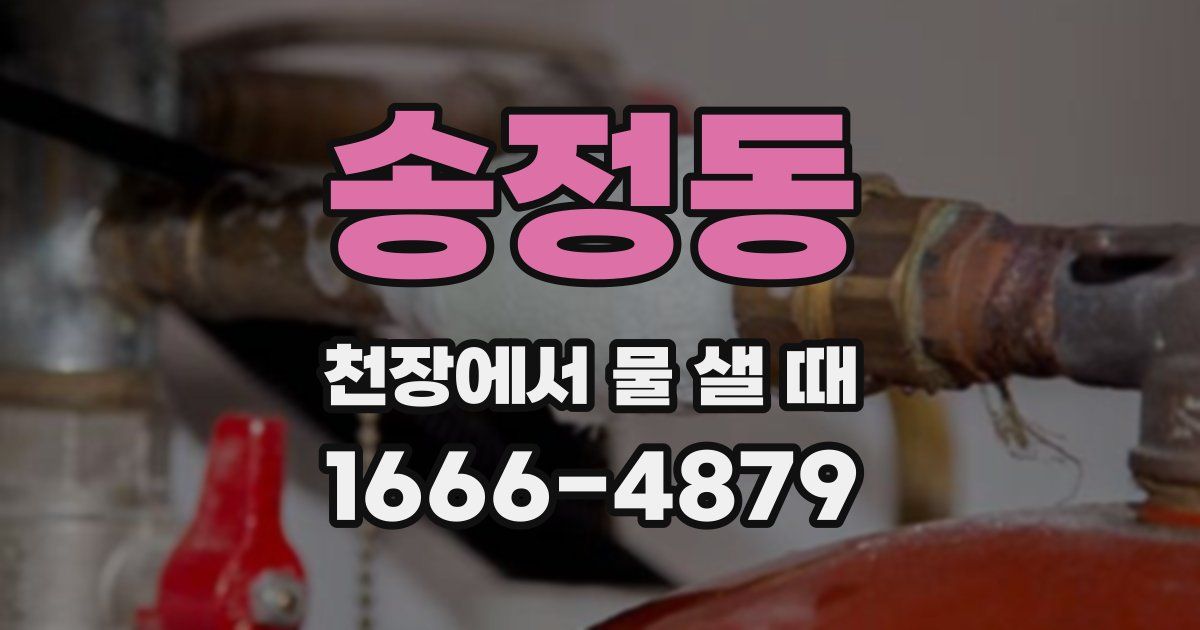 송정동 천장에서 물 샐 때