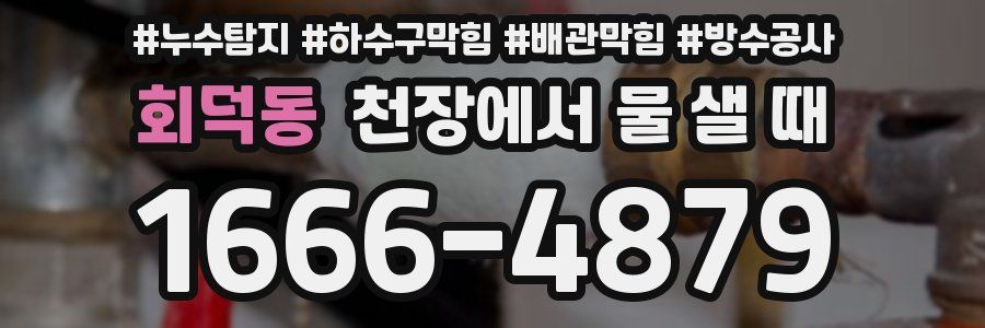 회덕동 천장에서 물 샐 때