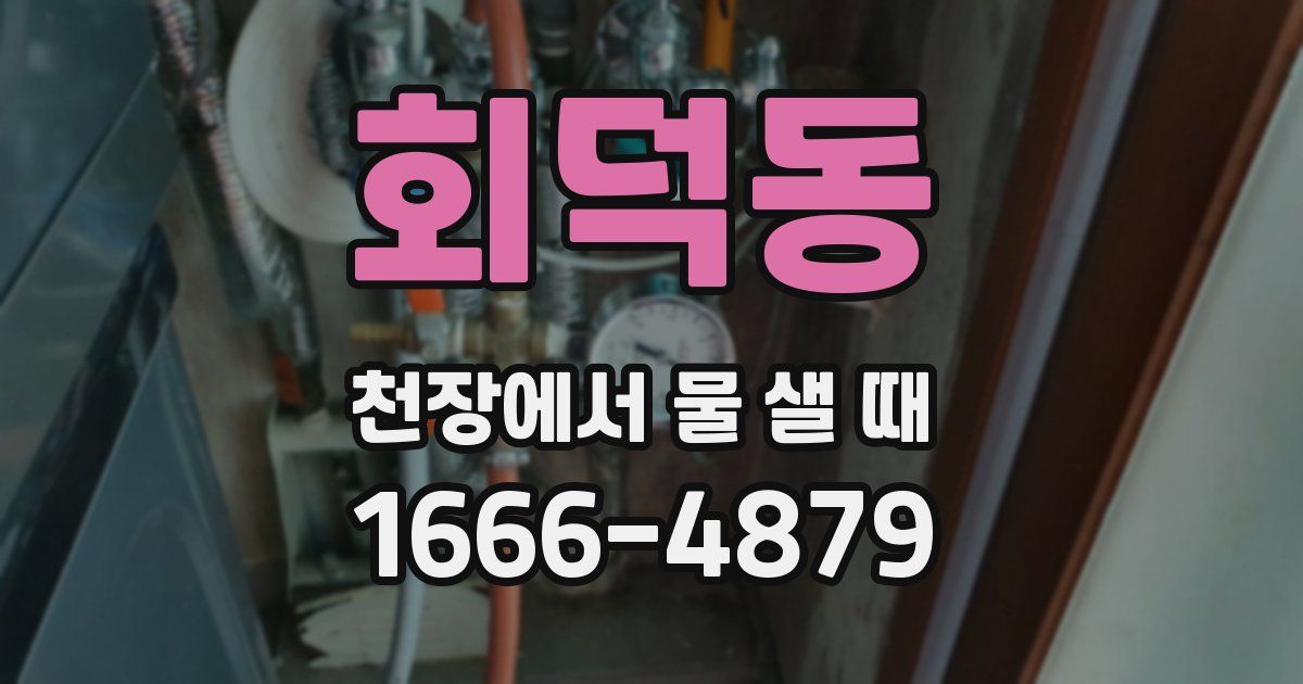 회덕동 천장에서 물 샐 때