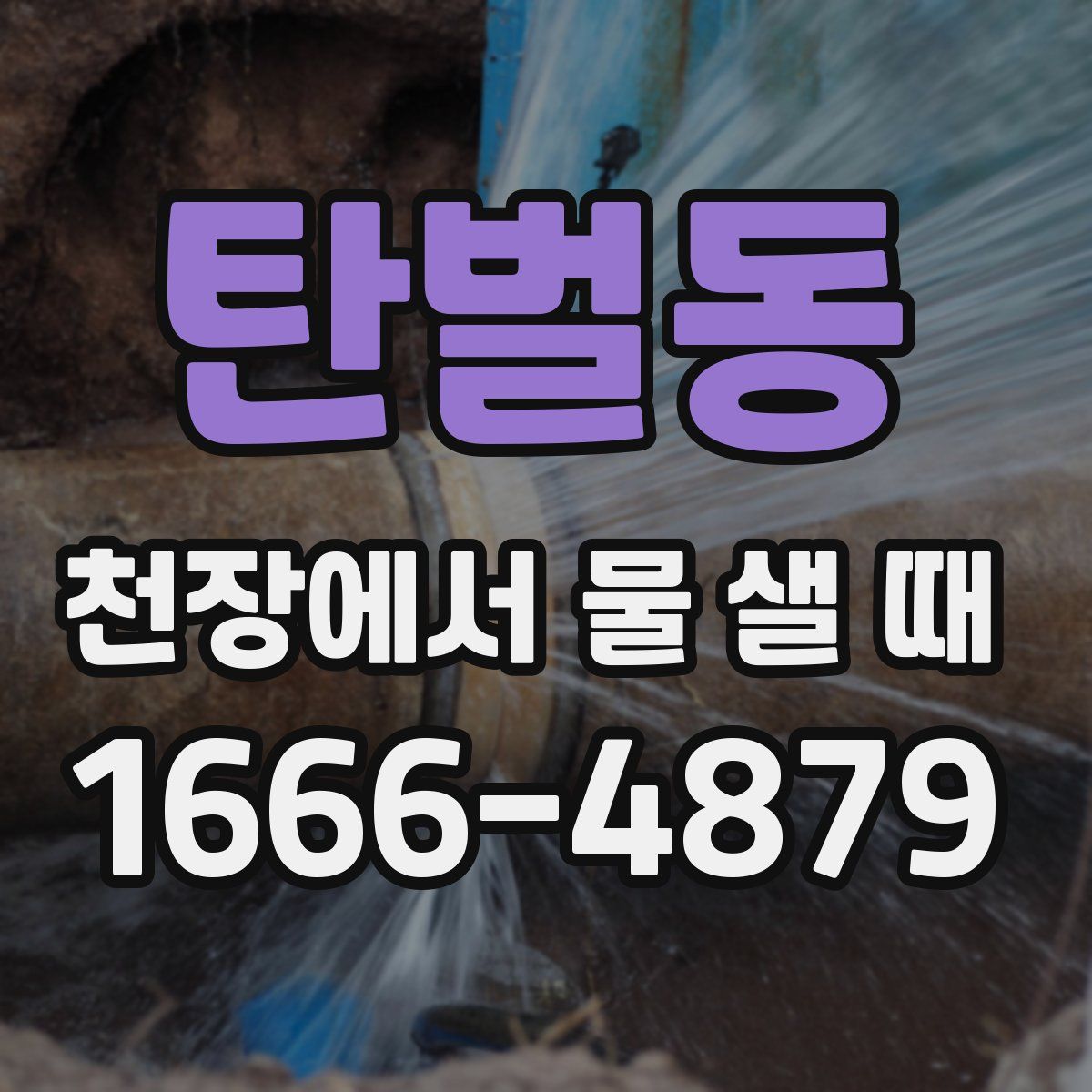 탄벌동 천장에서 물 샐 때