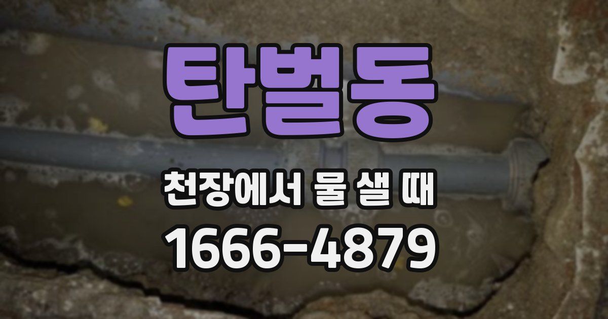 탄벌동 천장에서 물 샐 때