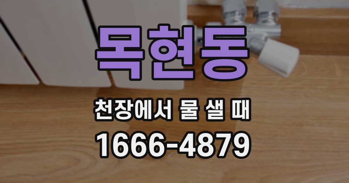 목현동 천장에서 물 샐 때