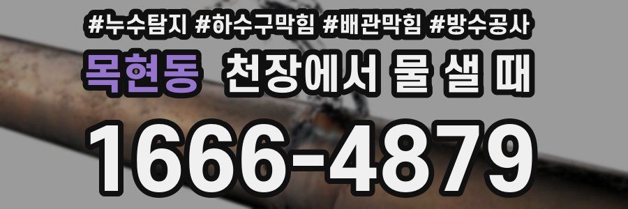 목현동 천장에서 물 샐 때