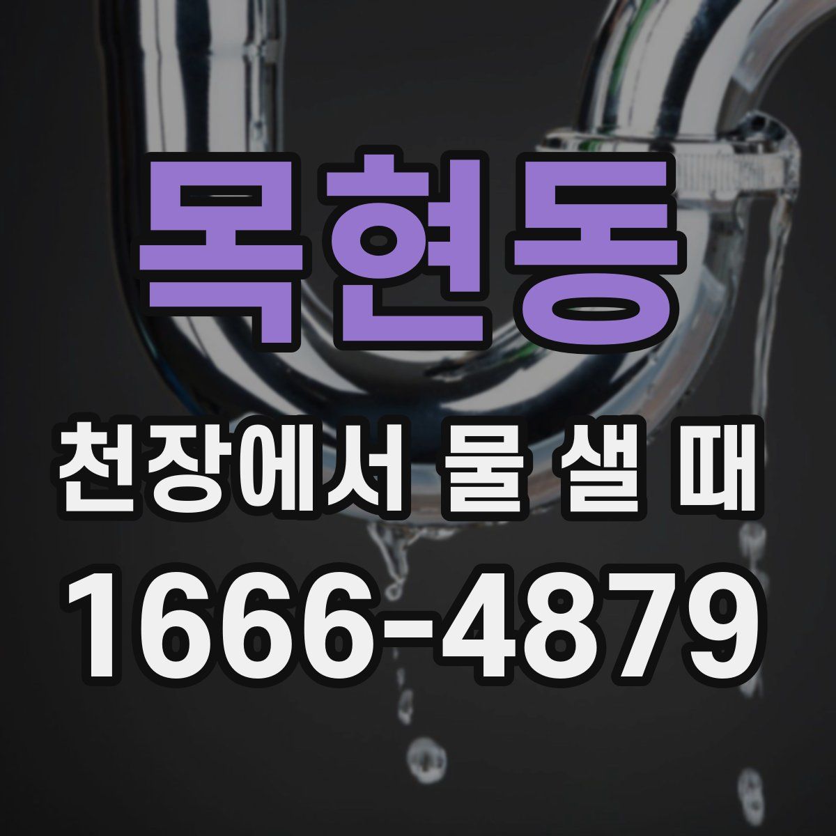 목현동 천장에서 물 샐 때