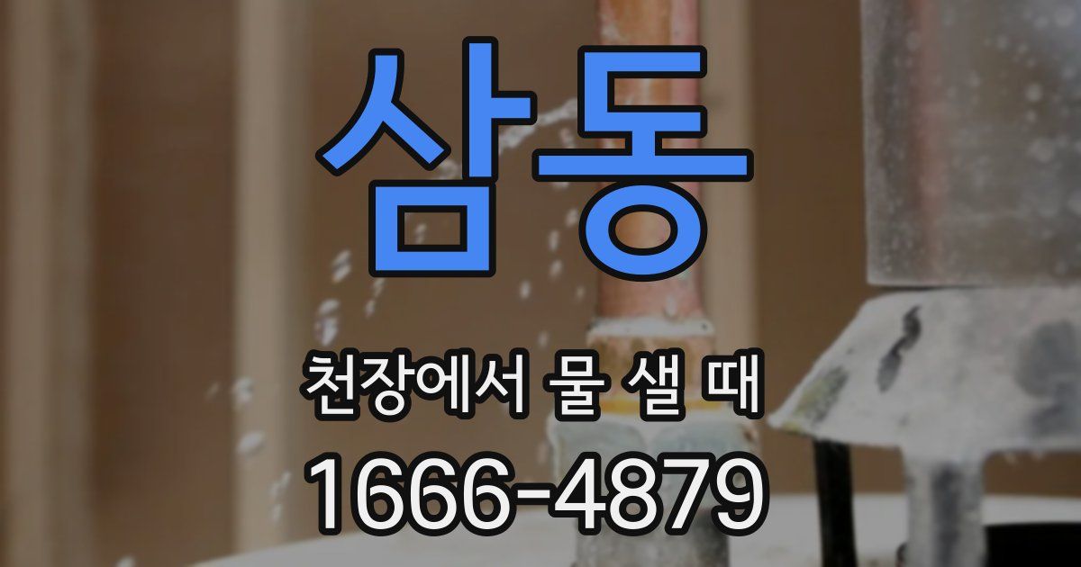 삼동 천장에서 물 샐 때