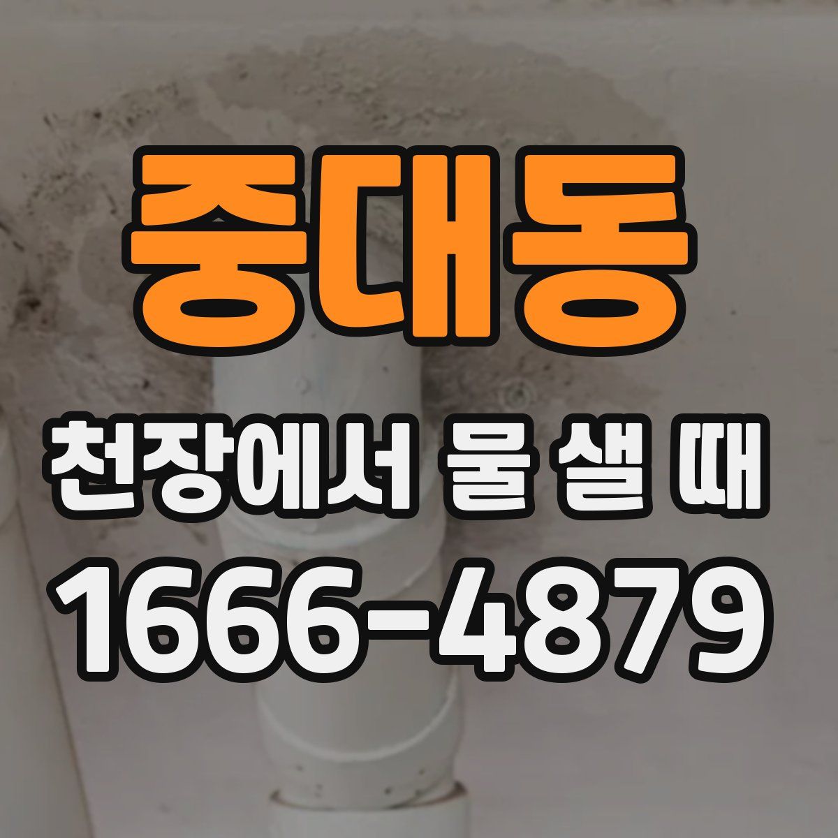 중대동 천장에서 물 샐 때