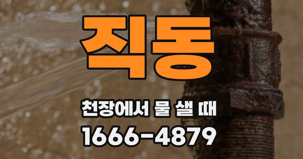직동 천장에서 물 샐 때