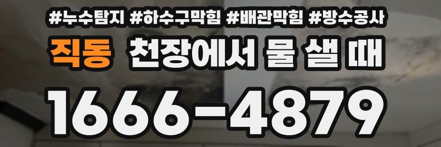 직동 천장에서 물 샐 때