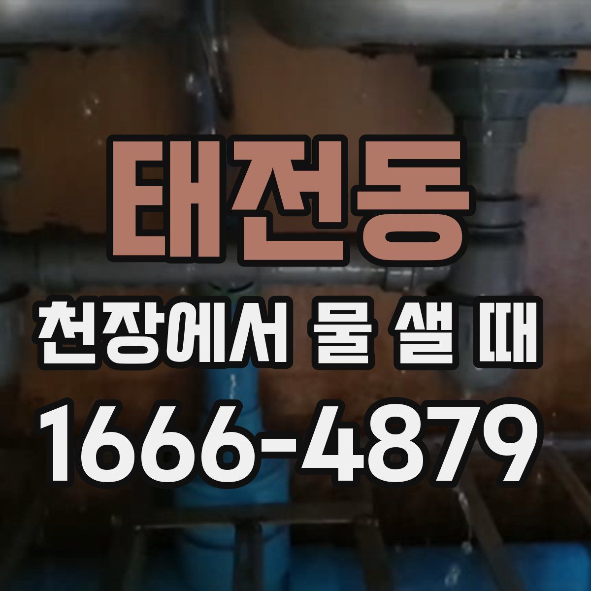 태전동 천장에서 물 샐 때