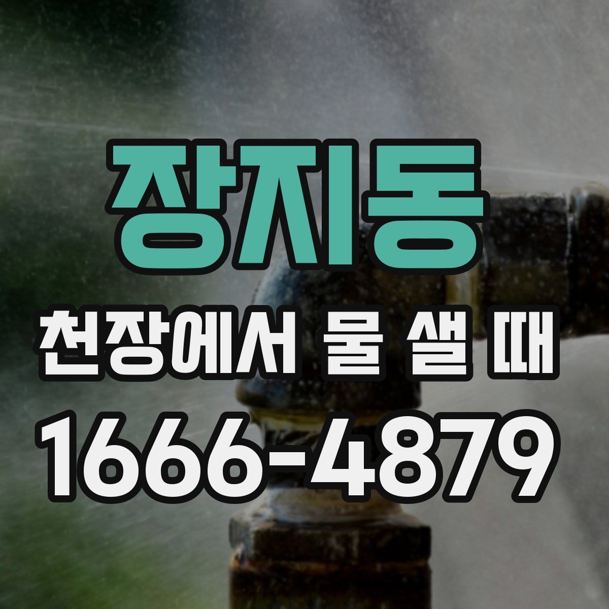장지동 천장에서 물 샐 때