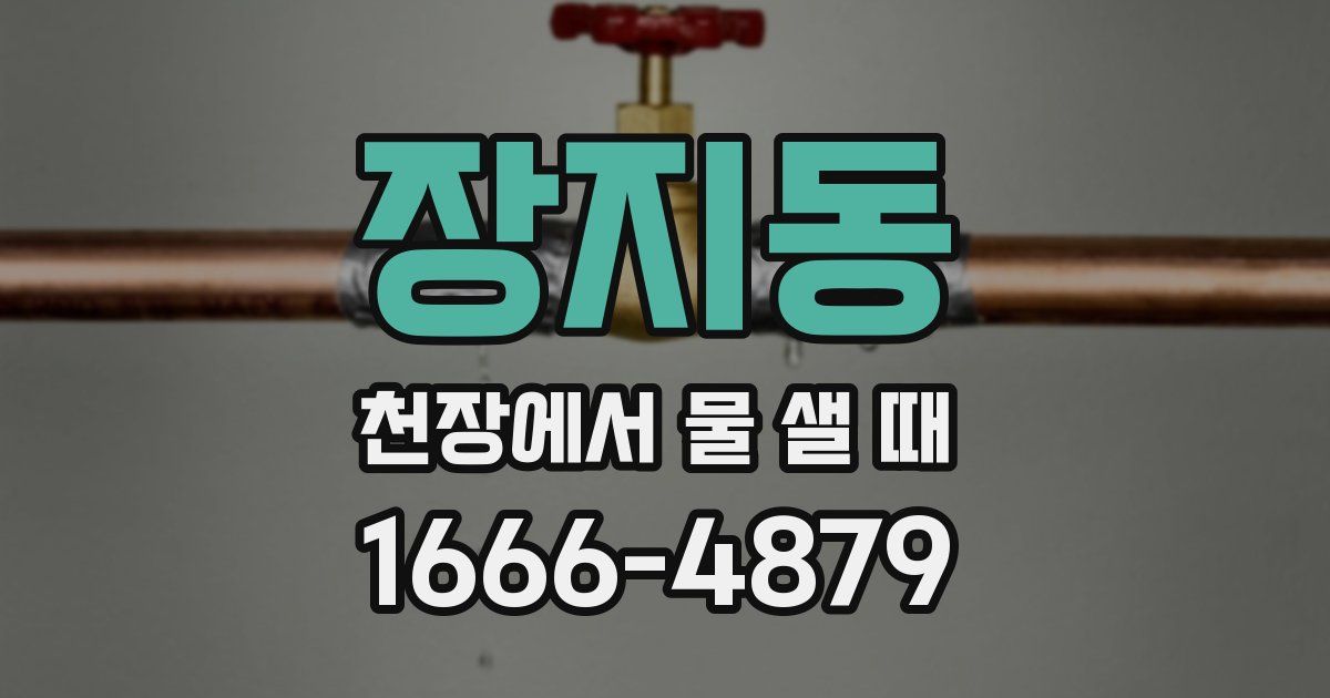 장지동 천장에서 물 샐 때