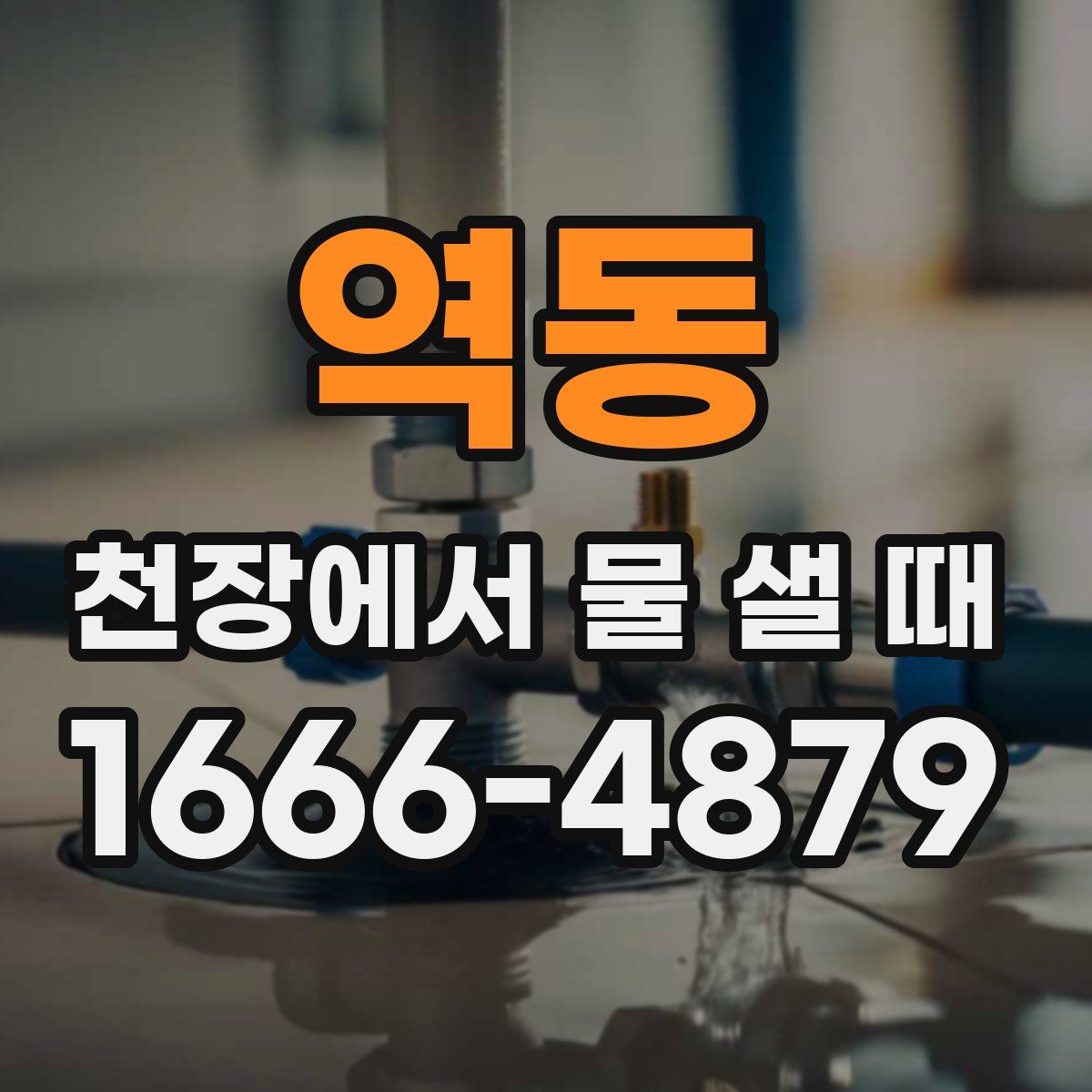 역동 천장에서 물 샐 때