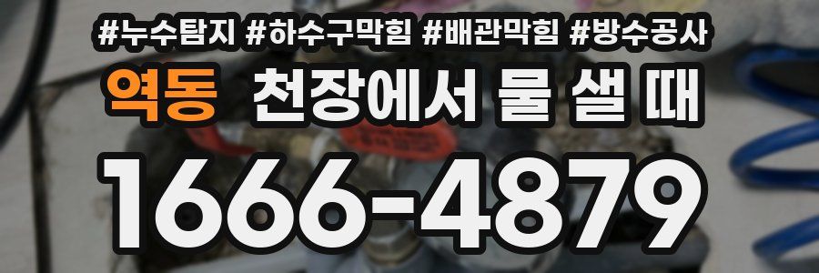 역동 천장에서 물 샐 때