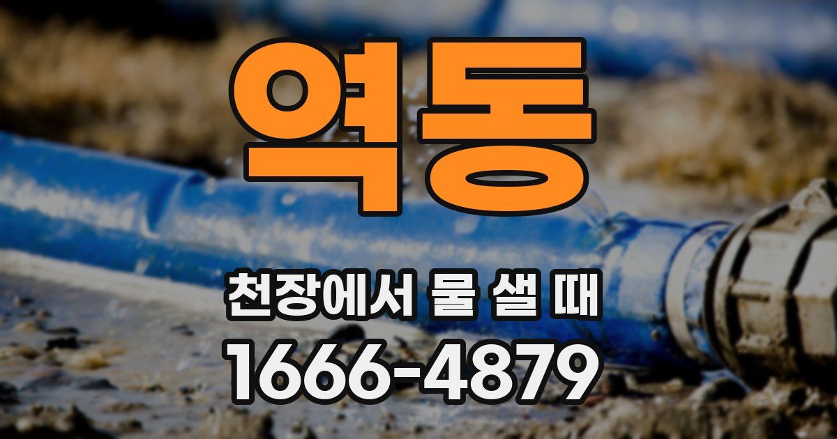 역동 천장에서 물 샐 때