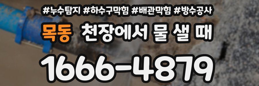 목동 천장에서 물 샐 때