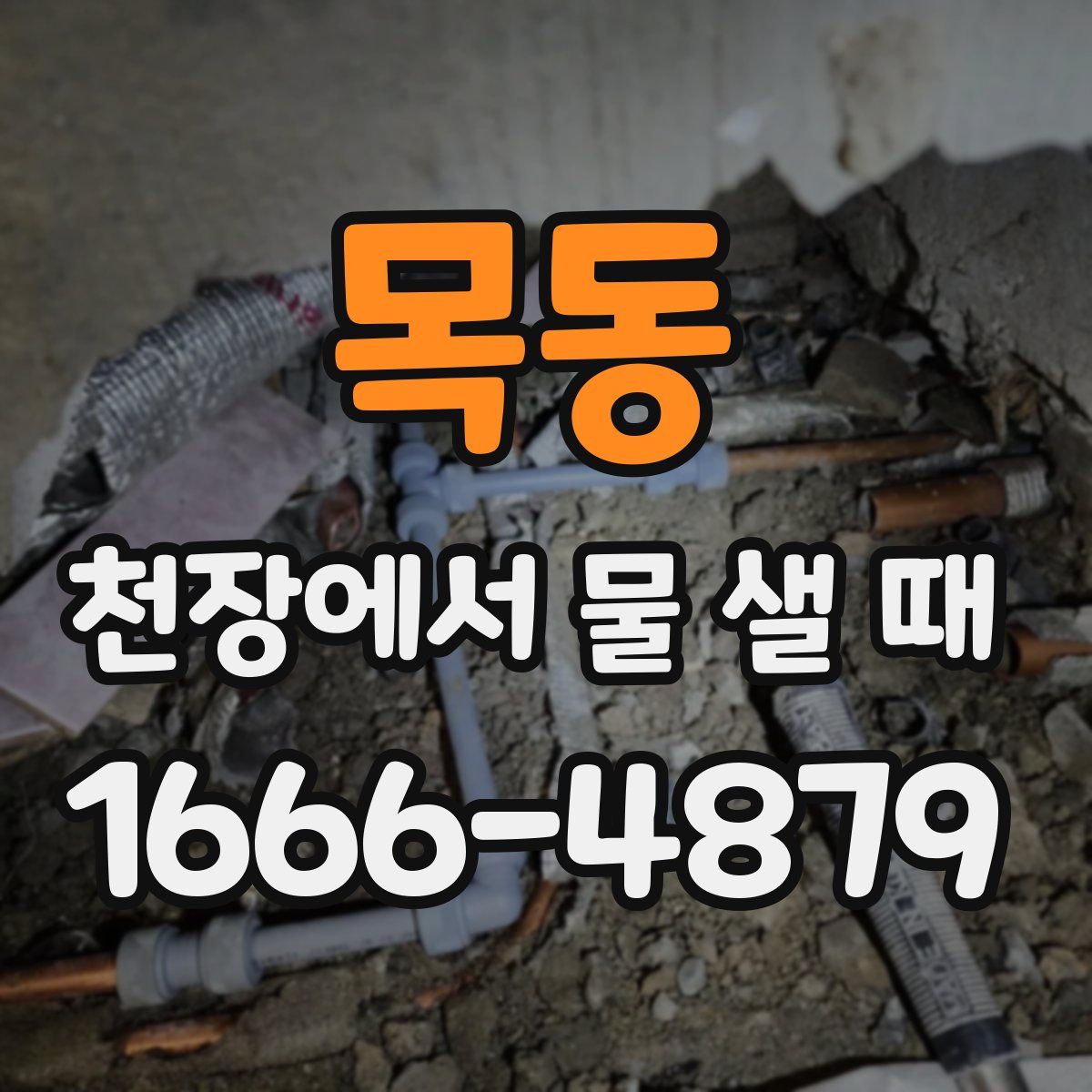 목동 천장에서 물 샐 때