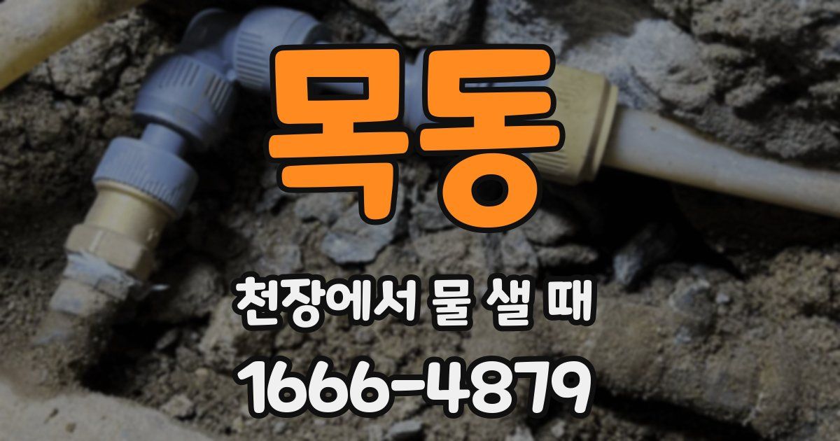 목동 천장에서 물 샐 때