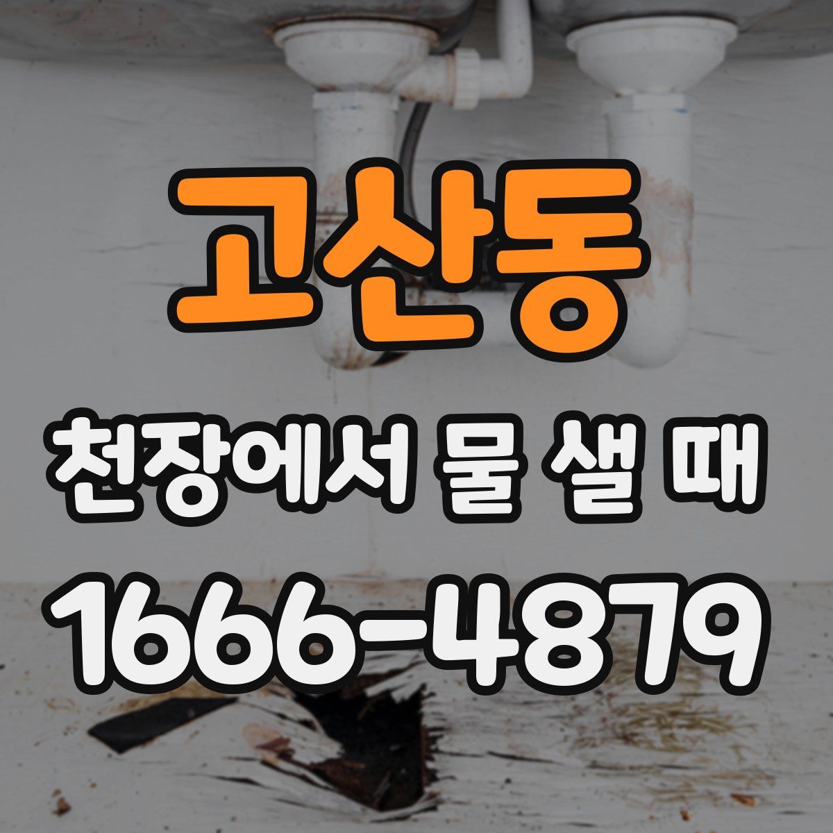 고산동 천장에서 물 샐 때