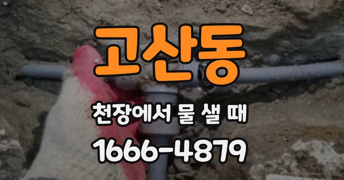 고산동 천장에서 물 샐 때