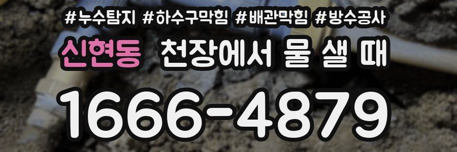 신현동 천장에서 물 샐 때