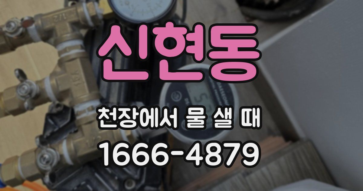 신현동 천장에서 물 샐 때