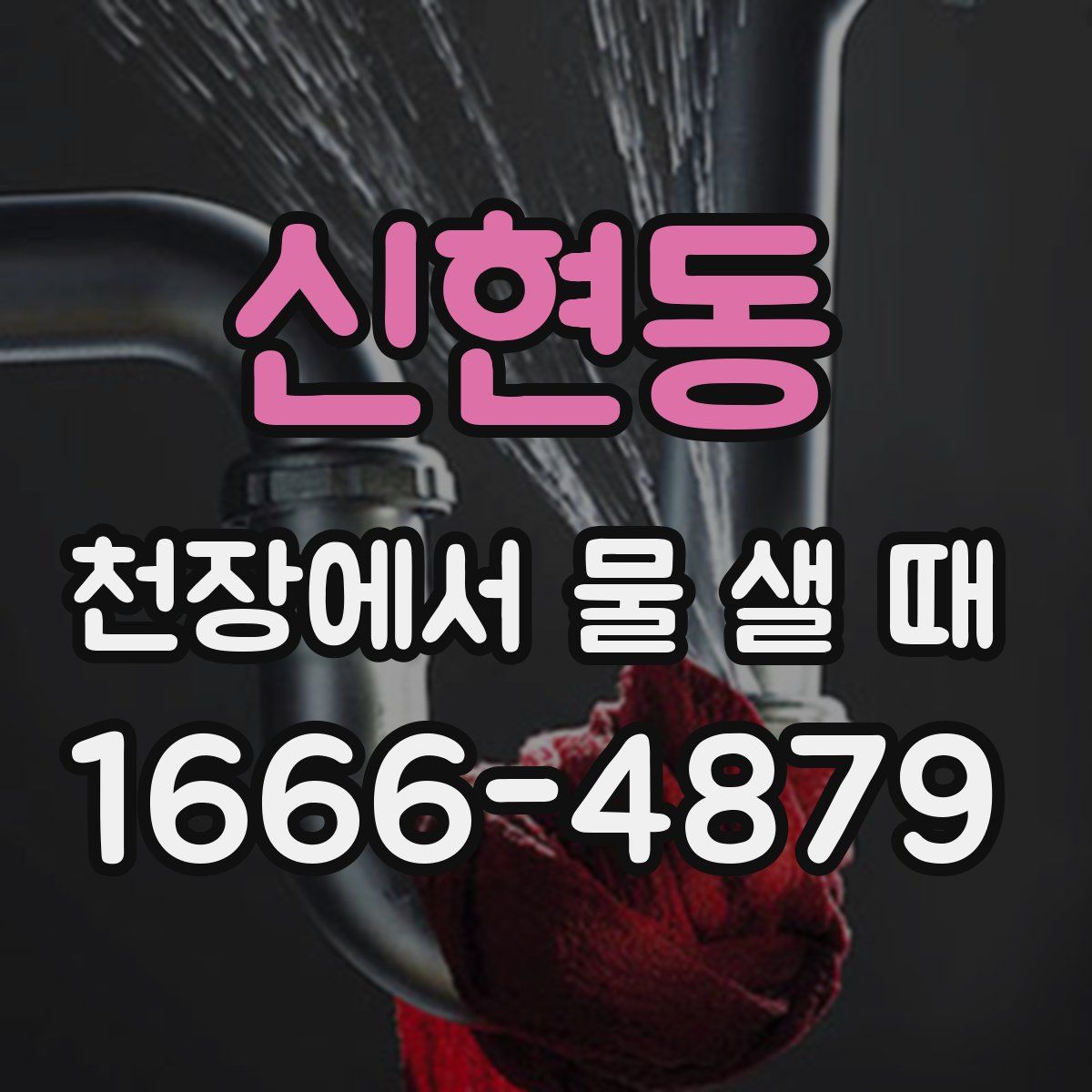 신현동 천장에서 물 샐 때