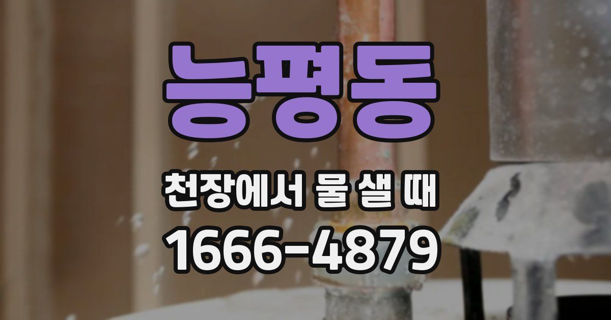 능평동 천장에서 물 샐 때
