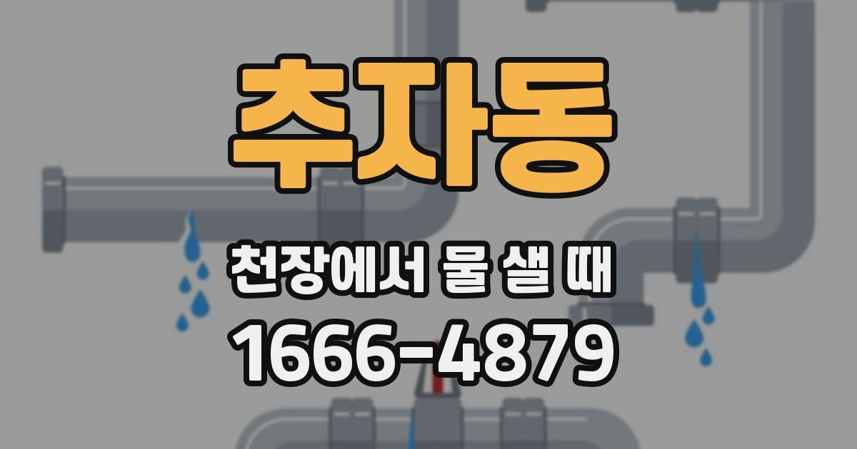 추자동 천장에서 물 샐 때