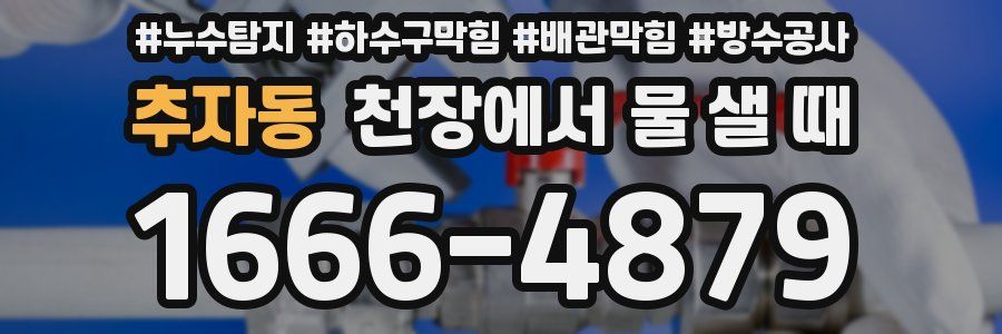 추자동 천장에서 물 샐 때