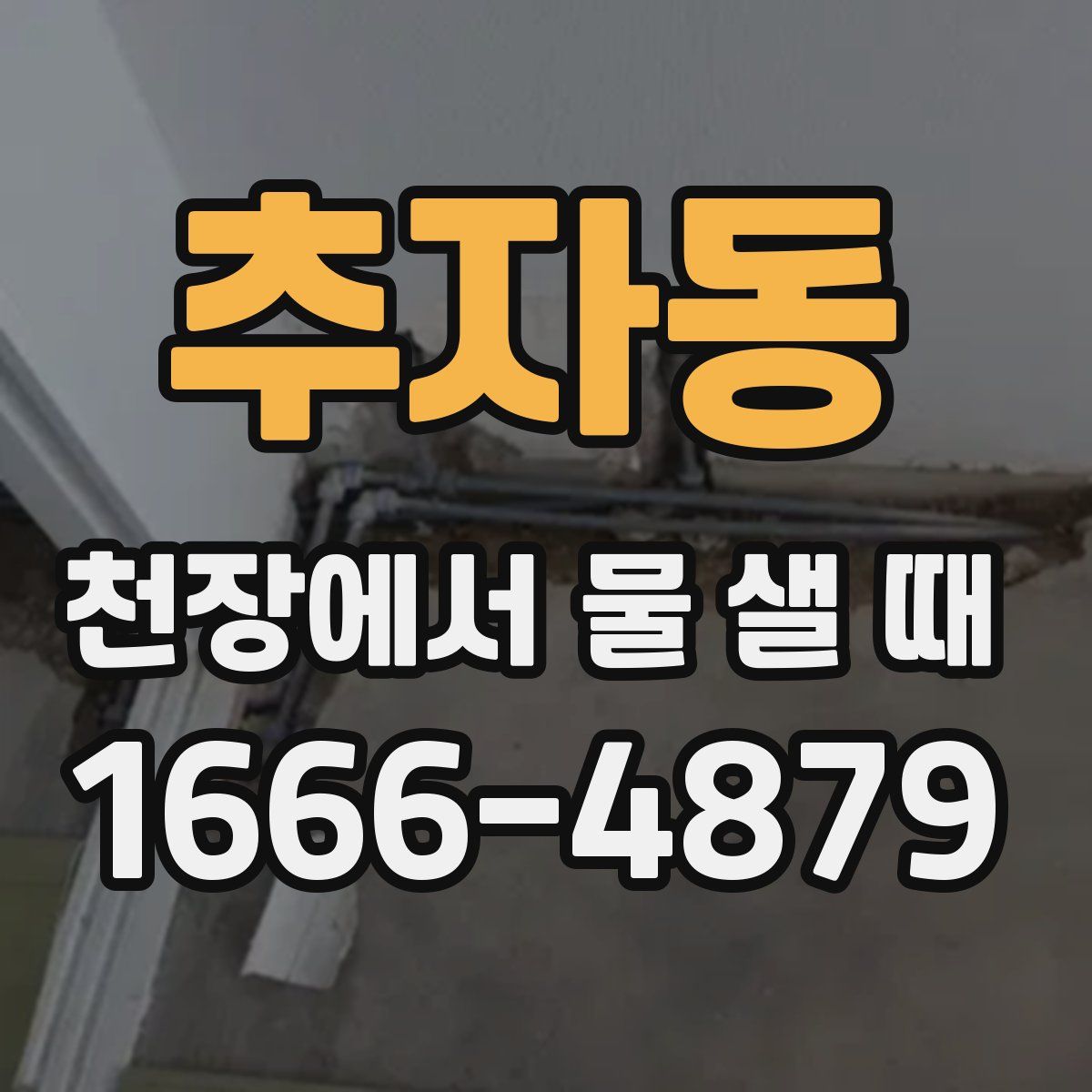 추자동 천장에서 물 샐 때