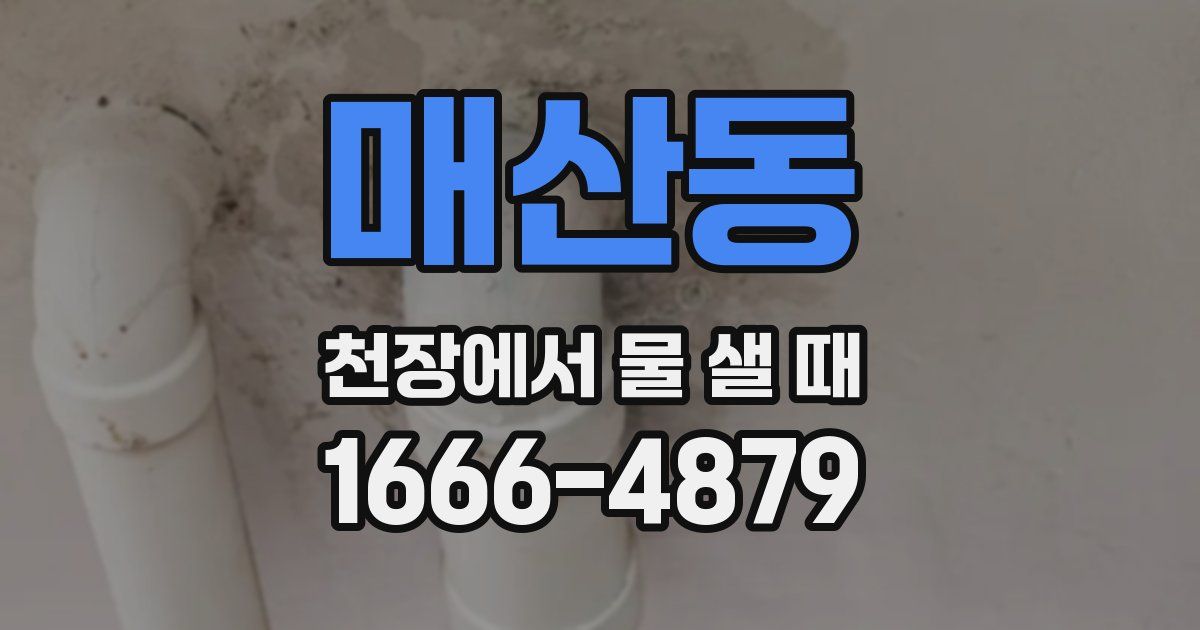 매산동 천장에서 물 샐 때
