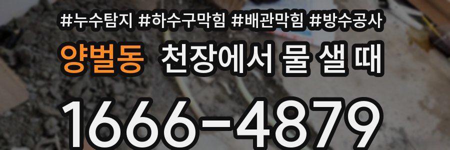 양벌동 천장에서 물 샐 때