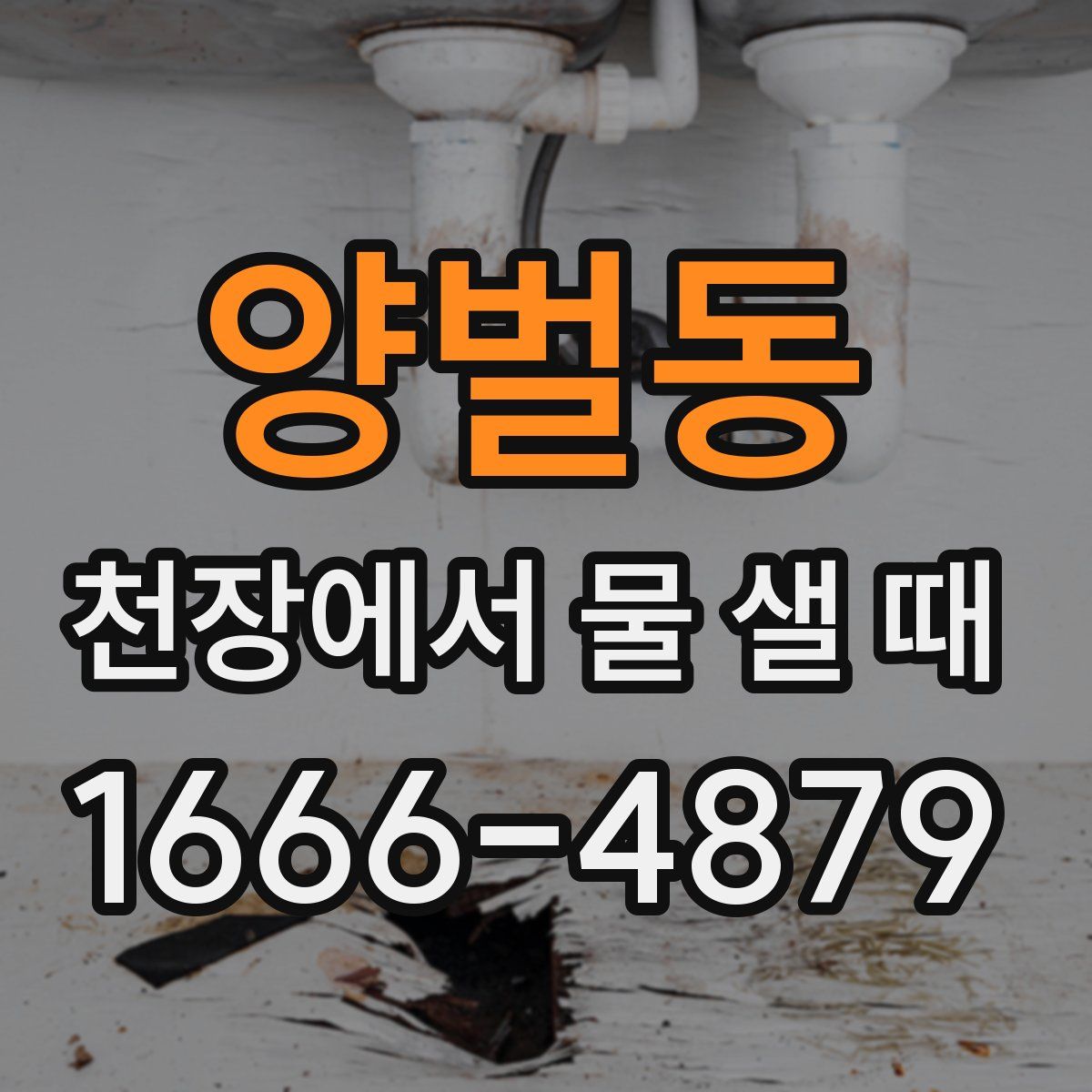 양벌동 천장에서 물 샐 때