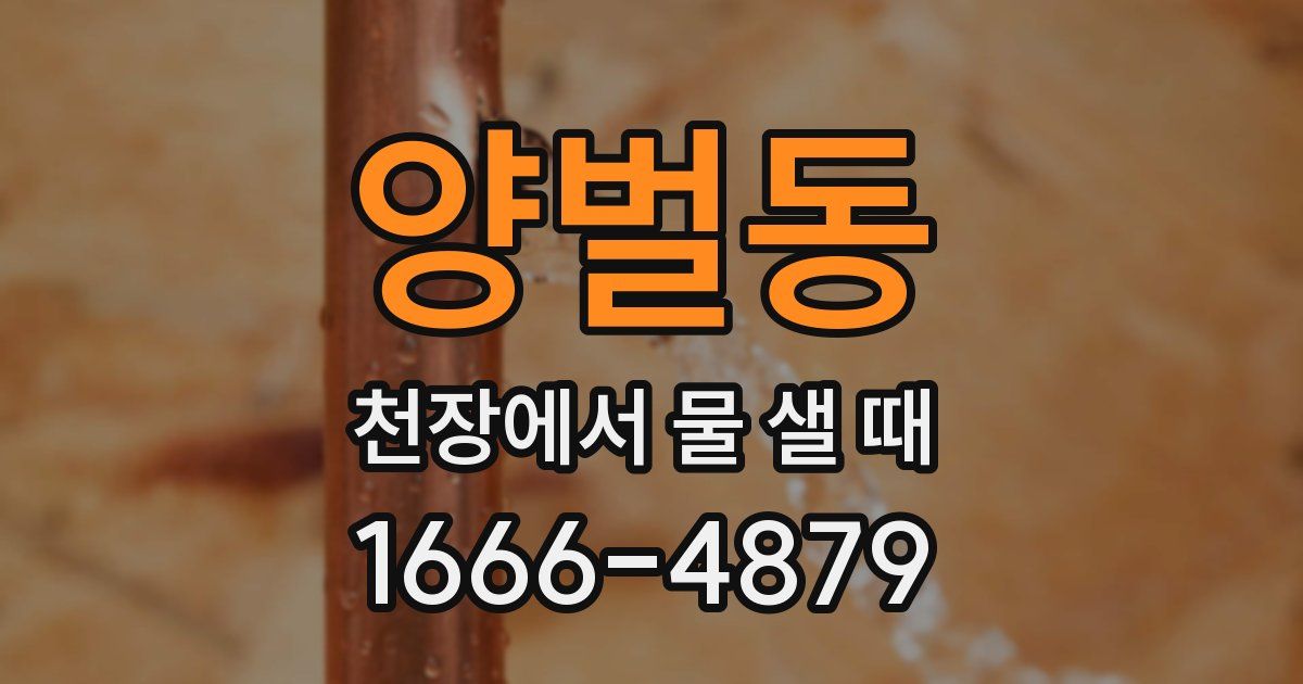 양벌동 천장에서 물 샐 때