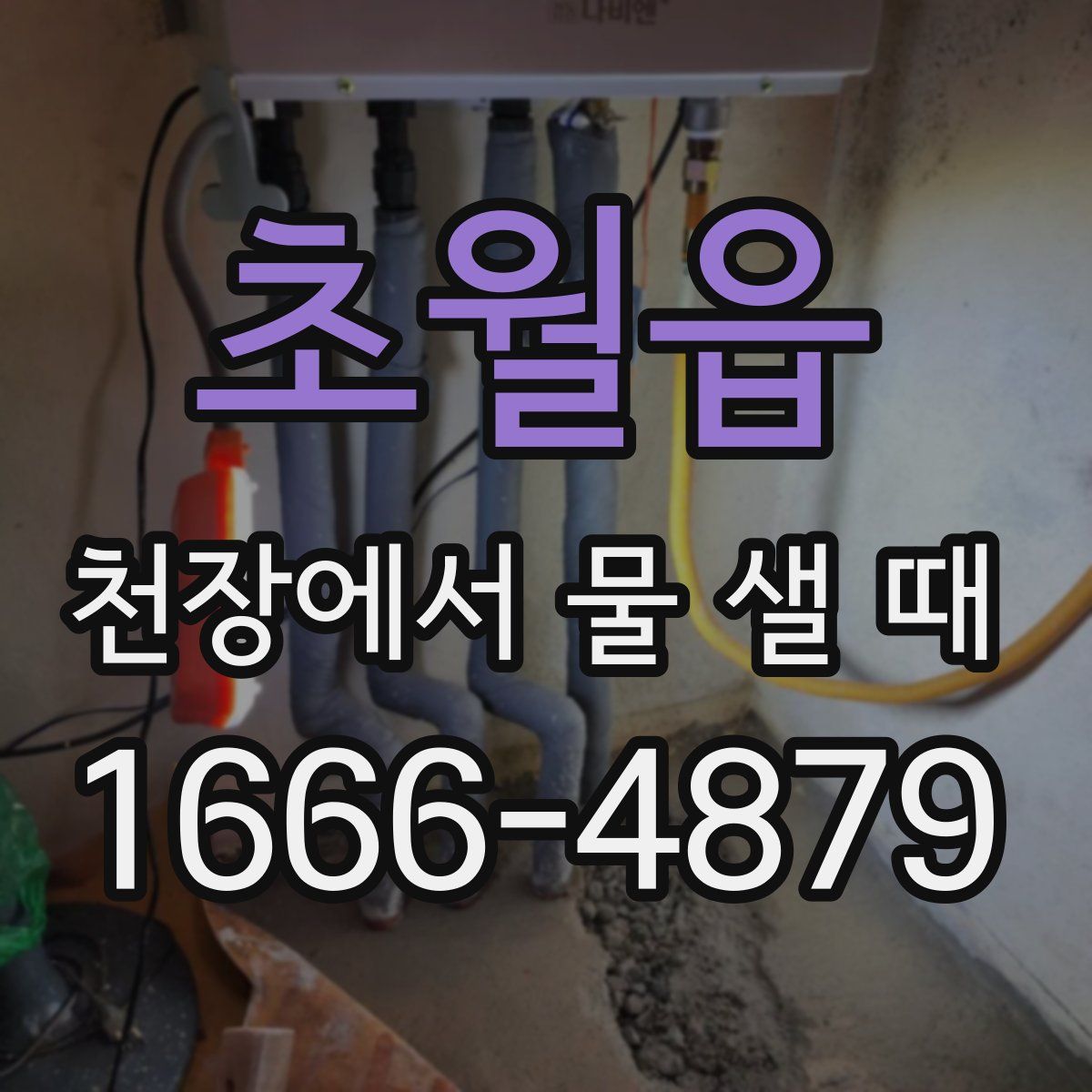 초월읍 천장에서 물 샐 때