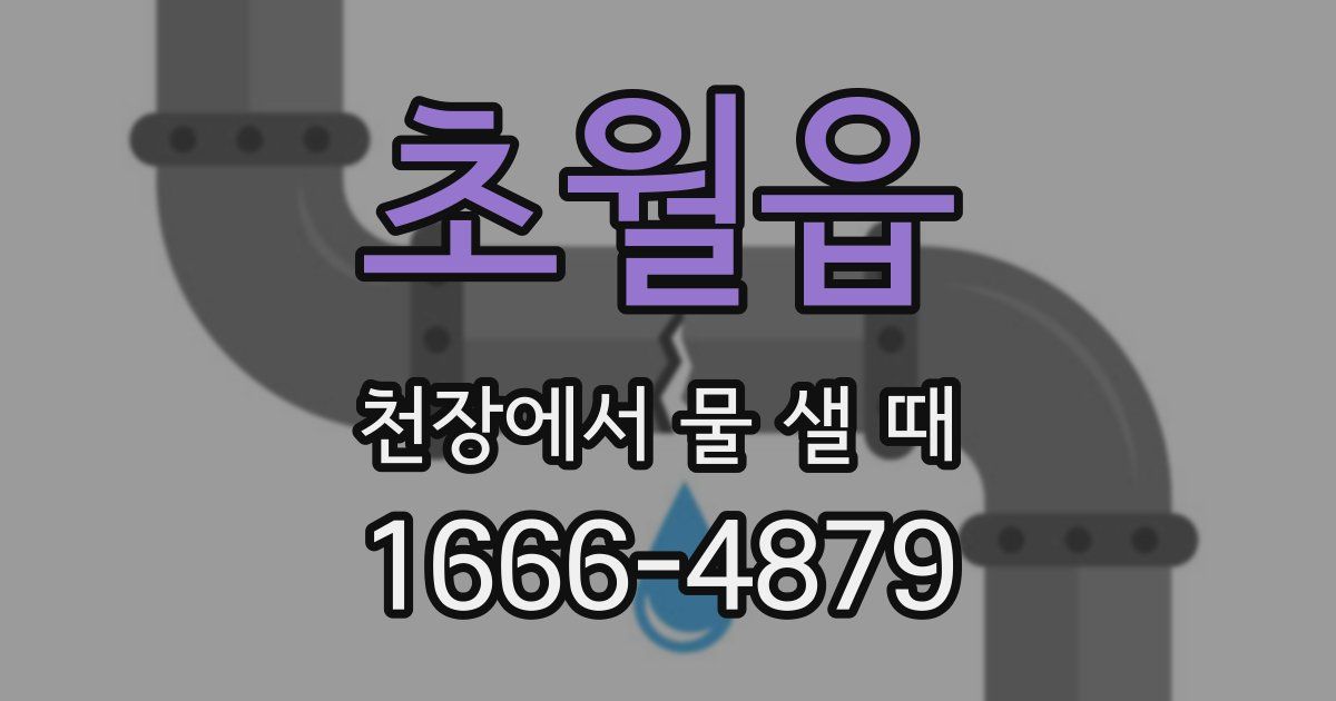 초월읍 천장에서 물 샐 때