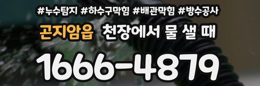곤지암읍 천장에서 물 샐 때