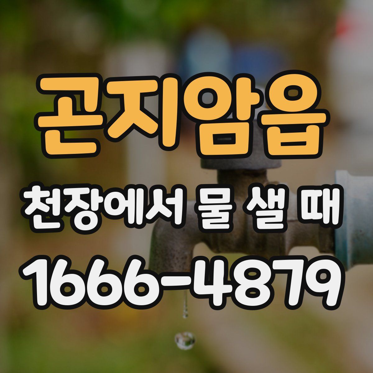 곤지암읍 천장에서 물 샐 때