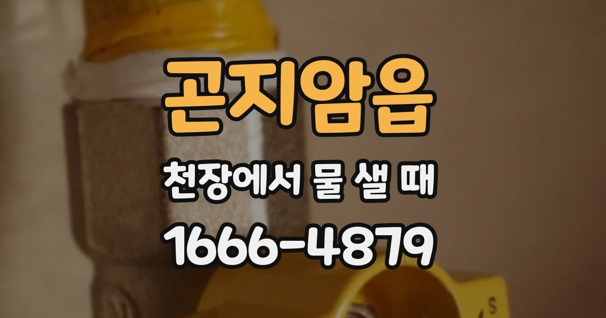 곤지암읍 천장에서 물 샐 때