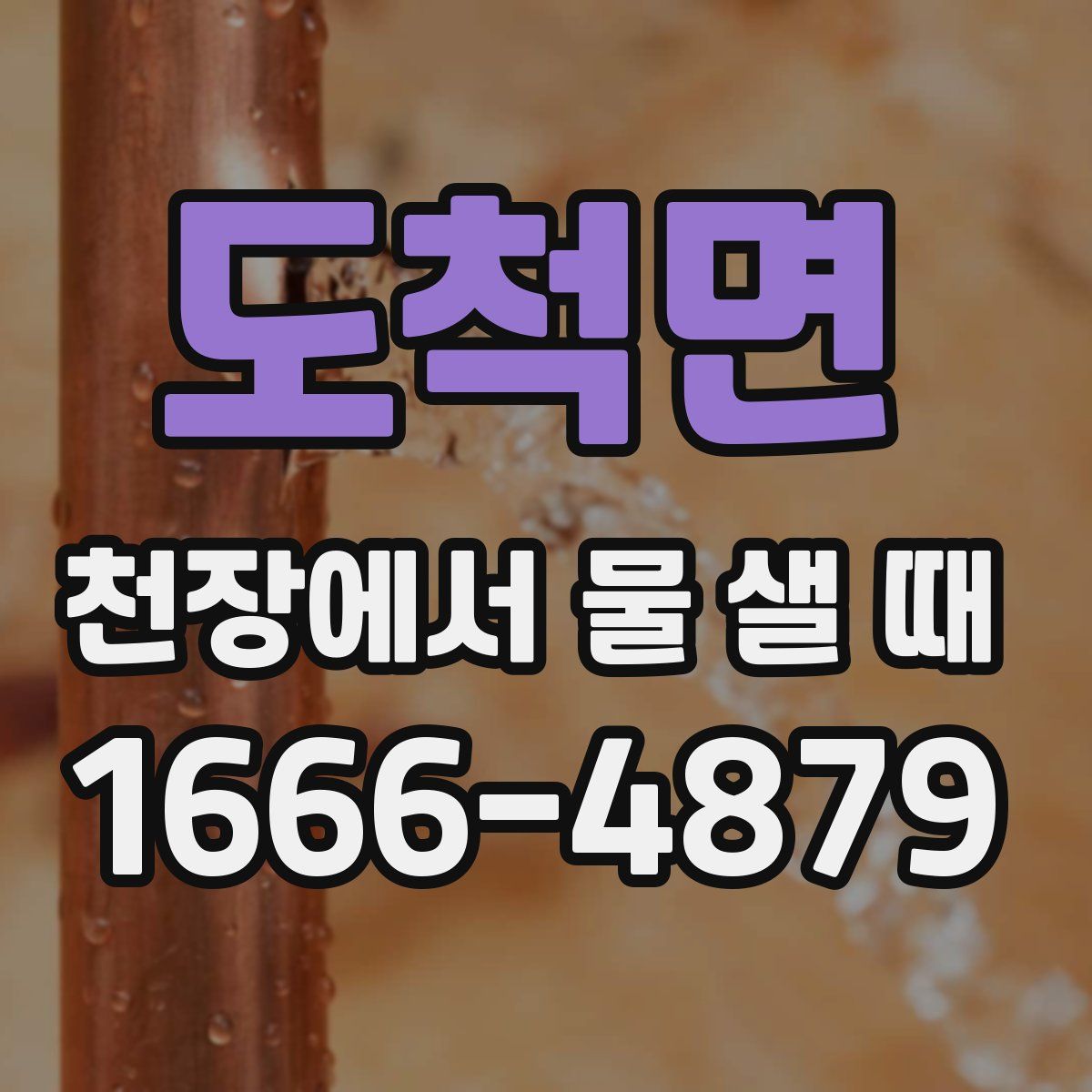 도척면 천장에서 물 샐 때